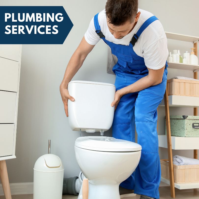 Plumbing Company in Santa, ID